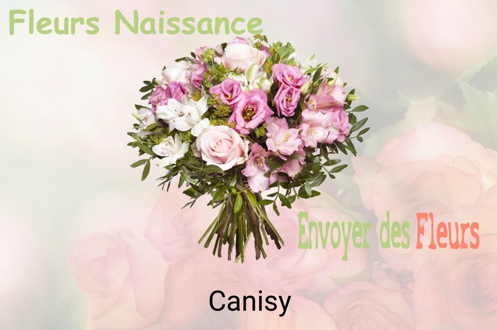 Bouquet de fleurs de naissance livré à Canisy